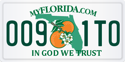 FL license plate 0091TO