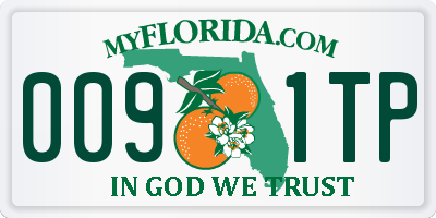 FL license plate 0091TP