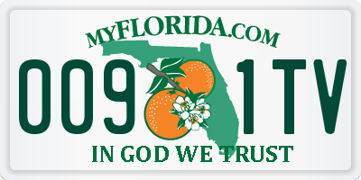 FL license plate 0091TV