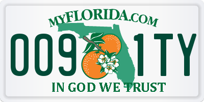 FL license plate 0091TY
