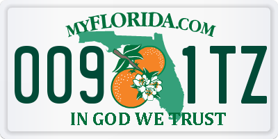 FL license plate 0091TZ