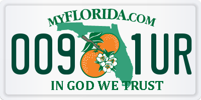 FL license plate 0091UR