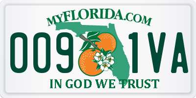 FL license plate 0091VA