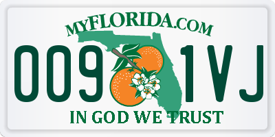 FL license plate 0091VJ