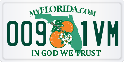 FL license plate 0091VM