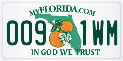 FL license plate 0091WM