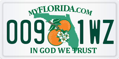FL license plate 0091WZ