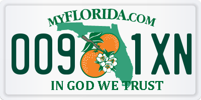 FL license plate 0091XN
