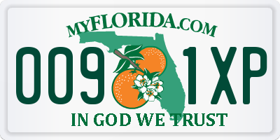 FL license plate 0091XP