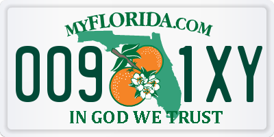 FL license plate 0091XY