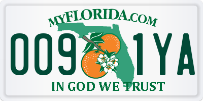 FL license plate 0091YA