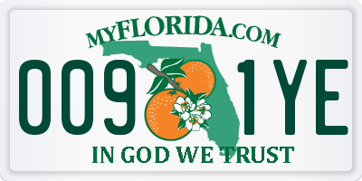 FL license plate 0091YE