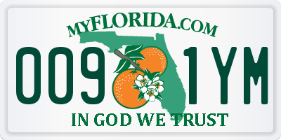 FL license plate 0091YM