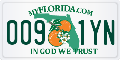 FL license plate 0091YN
