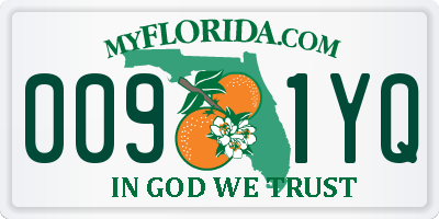 FL license plate 0091YQ