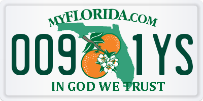 FL license plate 0091YS