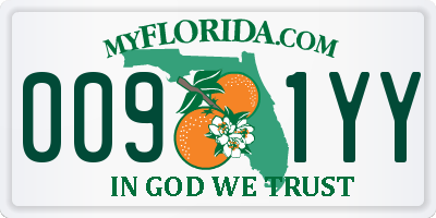 FL license plate 0091YY