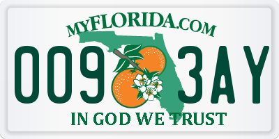 FL license plate 0093AY