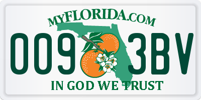FL license plate 0093BV