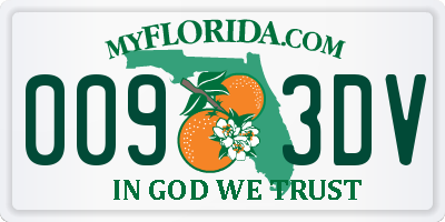 FL license plate 0093DV