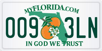 FL license plate 0093LN