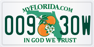 FL license plate 0093OW