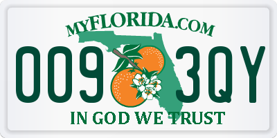 FL license plate 0093QY