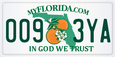 FL license plate 0093YA
