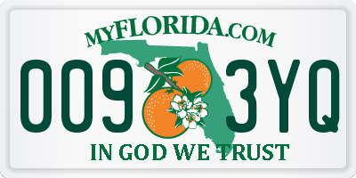 FL license plate 0093YQ
