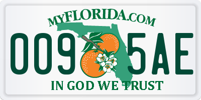 FL license plate 0095AE