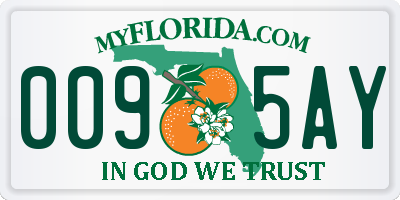 FL license plate 0095AY