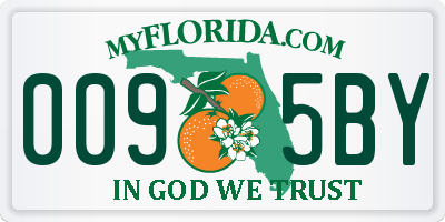 FL license plate 0095BY