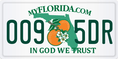 FL license plate 0095DR
