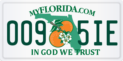 FL license plate 0095IE
