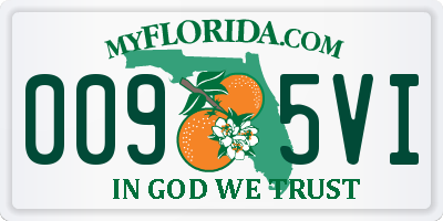 FL license plate 0095VI