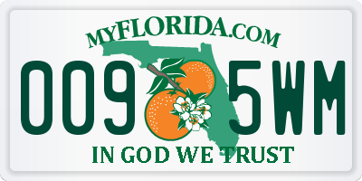 FL license plate 0095WM