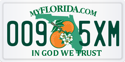 FL license plate 0095XM