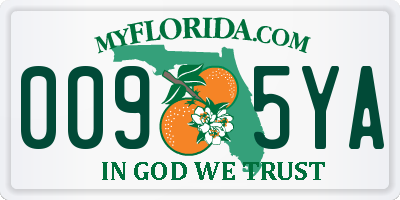 FL license plate 0095YA