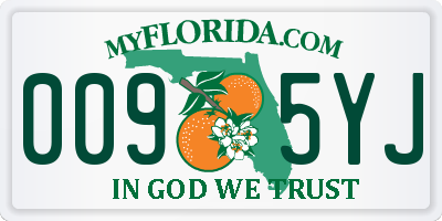 FL license plate 0095YJ