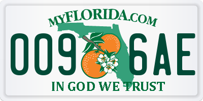 FL license plate 0096AE