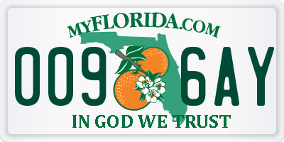 FL license plate 0096AY