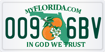 FL license plate 0096BV