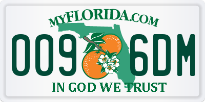 FL license plate 0096DM