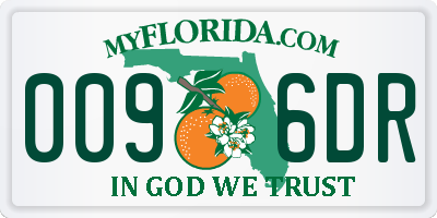 FL license plate 0096DR