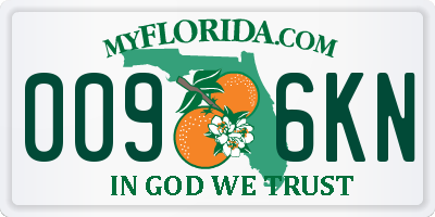 FL license plate 0096KN