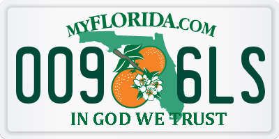 FL license plate 0096LS