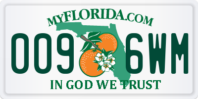 FL license plate 0096WM
