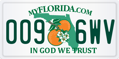 FL license plate 0096WV