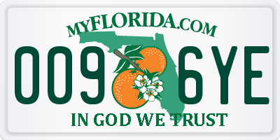 FL license plate 0096YE