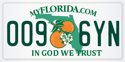 FL license plate 0096YN